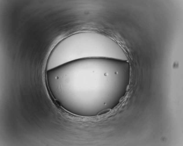 X0000102820003200808181036