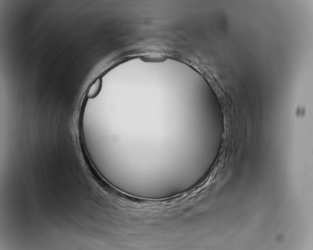 X0000102820004200808181036