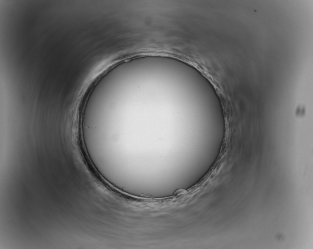 X0000102820005200808181036