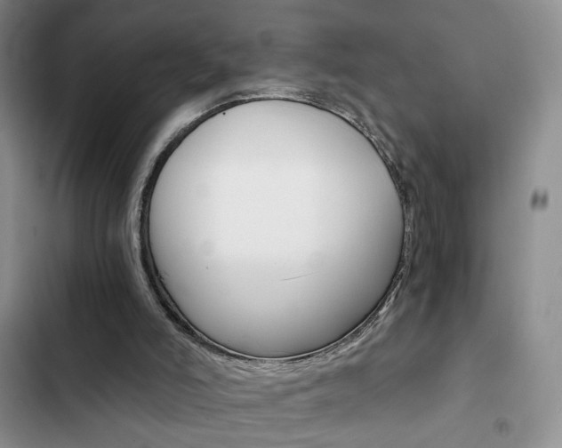 X0000102820006200808181036