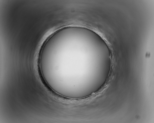 X0000102820007200808181036