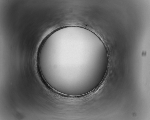 X0000102820008200808181036