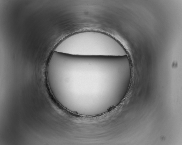 X0000102820009200808181036
