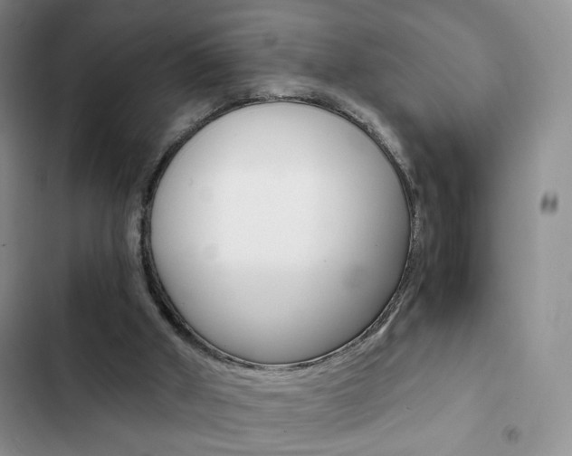 X0000102820010200808181036