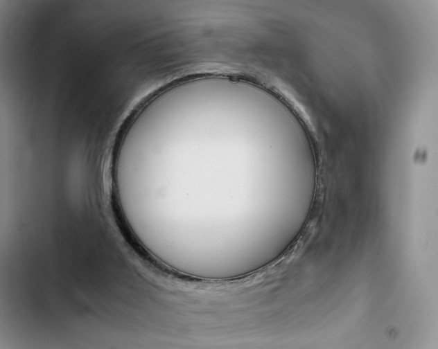 X0000102820011200808181036