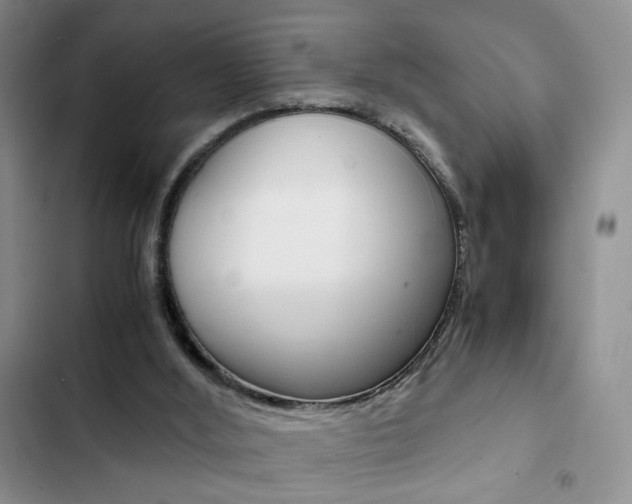 X0000102820012200808181036