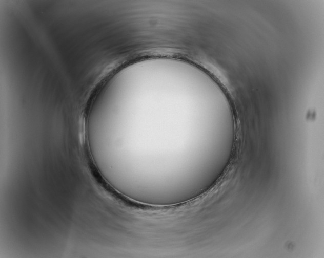 X0000102820013200808181036