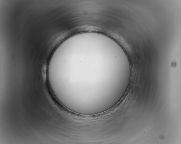 X0000102820014200808181036
