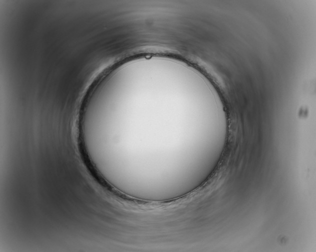 X0000102820015200808181036