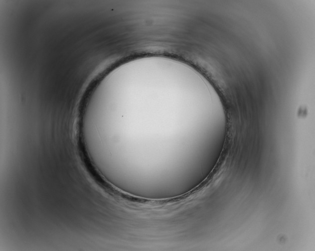X0000102820016200808181036