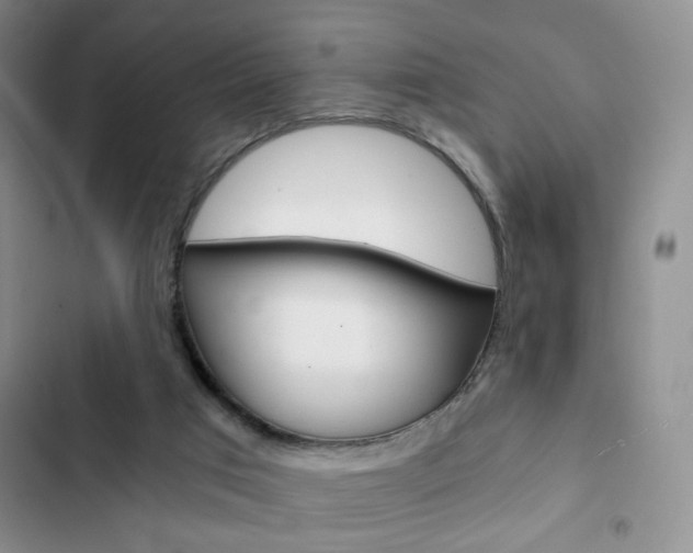 X0000102820017200808181036