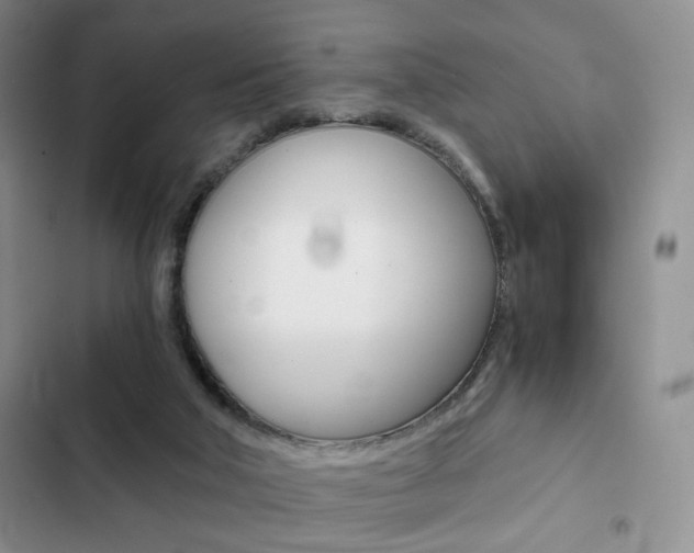 X0000102820018200808181036