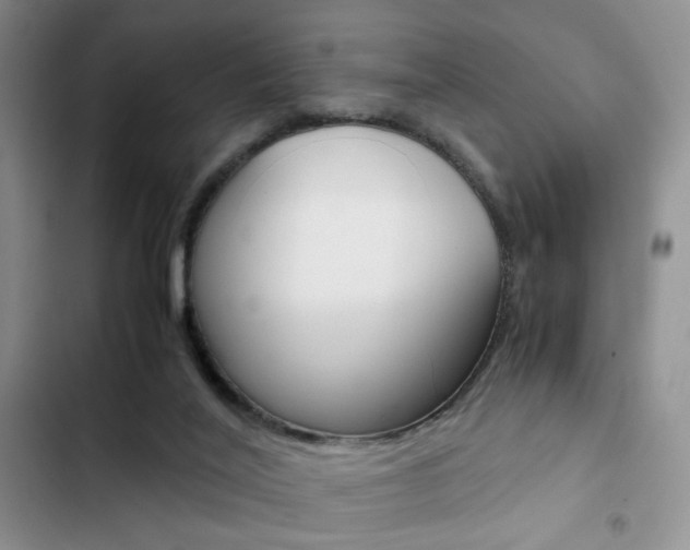 X0000102820020200808181036