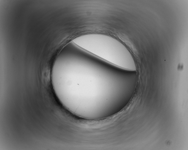 X0000102820021200808181036