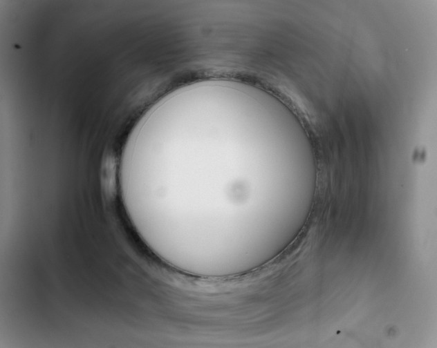 X0000102820022200808181036