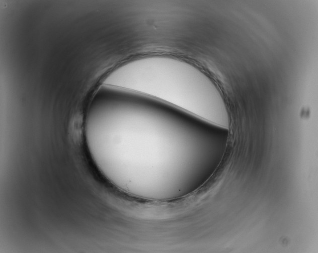 X0000102820024200808181036