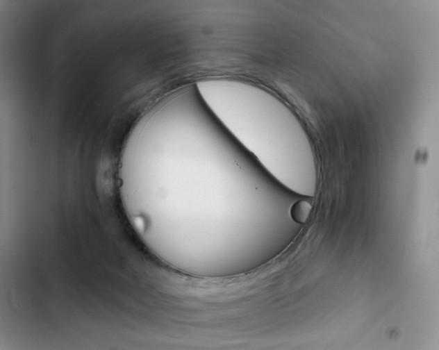 X0000102820026200808181036
