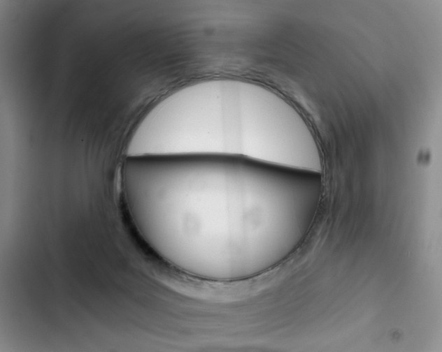 X0000102820027200808181036