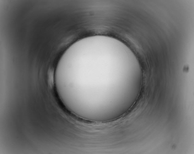 X0000102820028200808181036