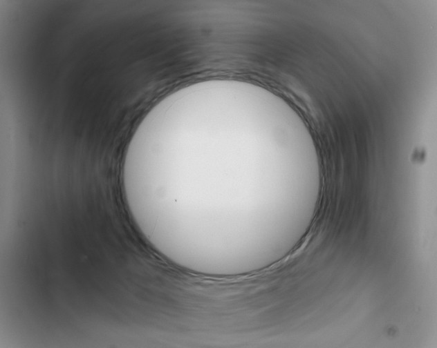 X0000102820029200808181036