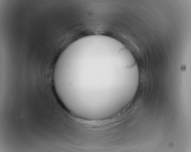 X0000102820030200808181036
