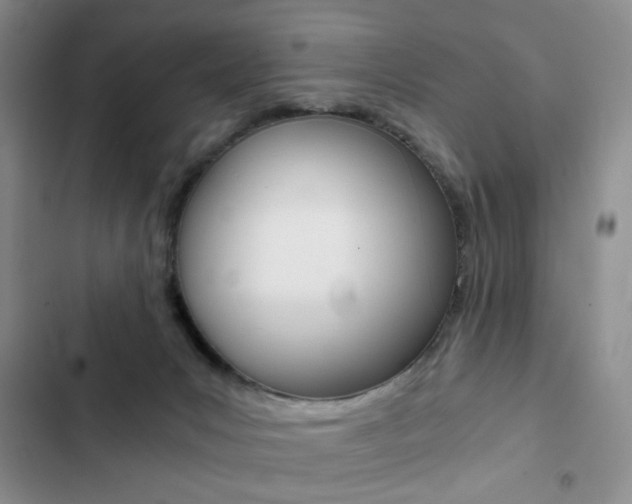 X0000102820031200808181036