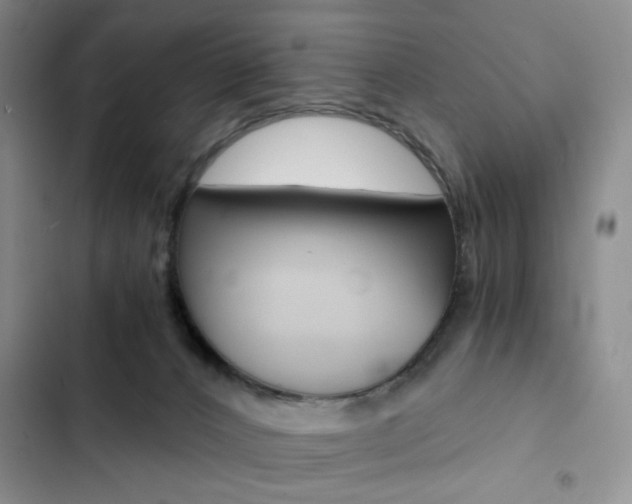 X0000102820032200808181036