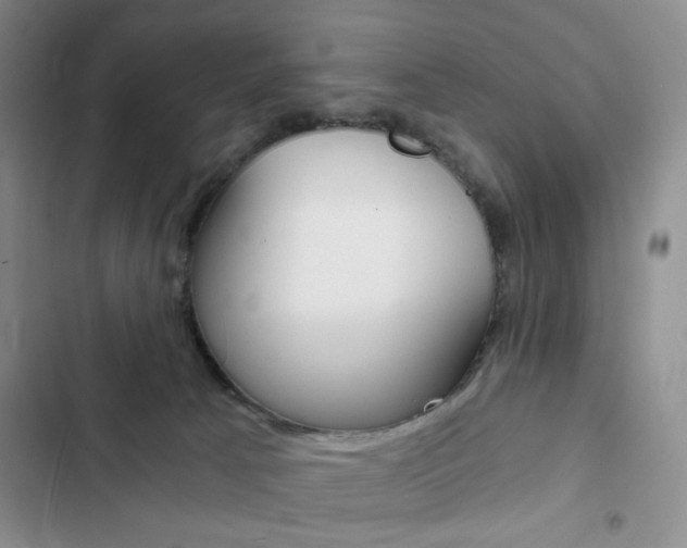 X0000102820033200808181036