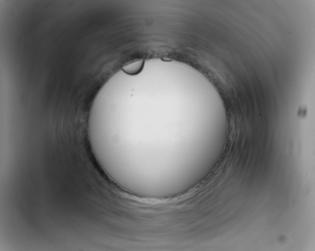 X0000102820034200808181036