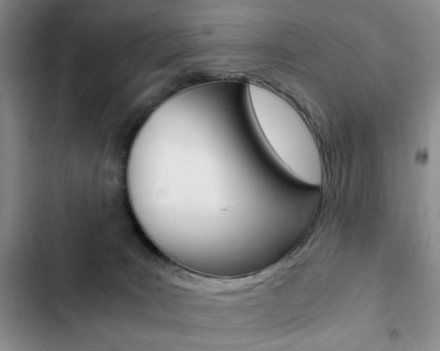 X0000102820035200808181036