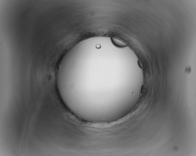 X0000102820037200808181036