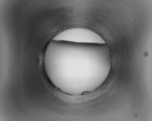 X0000102820038200808181036