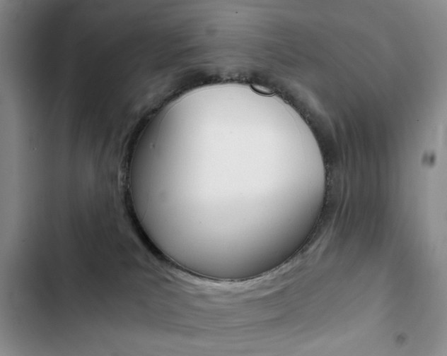 X0000102820039200808181036