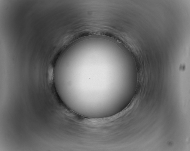 X0000102820041200808181036
