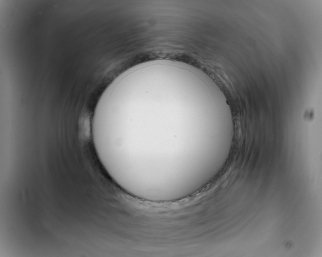 X0000102820042200808181035
