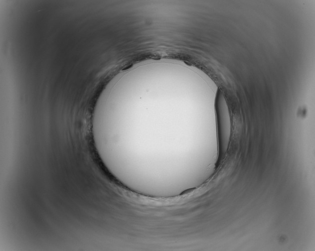 X0000102820043200808181035