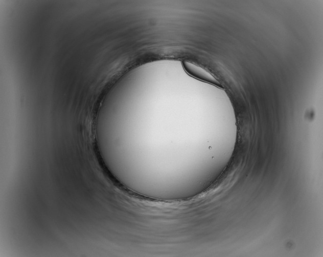 X0000102820044200808181035