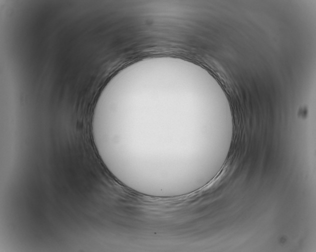 X0000102820045200808181035