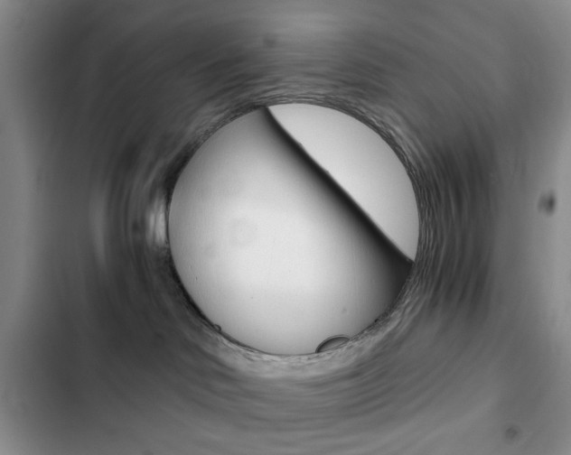 X0000102820046200808181035