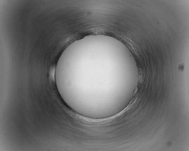 X0000102820047200808181035