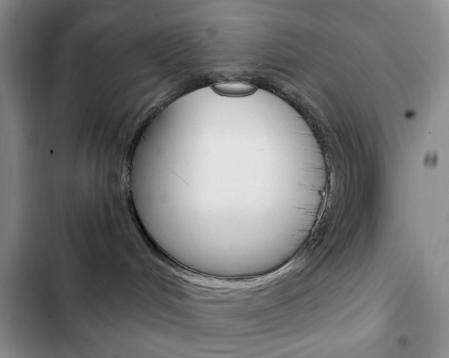 X0000102820048200808181035