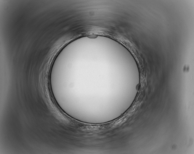X0000102820049200808181035