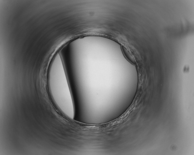 X0000102820050200808181035
