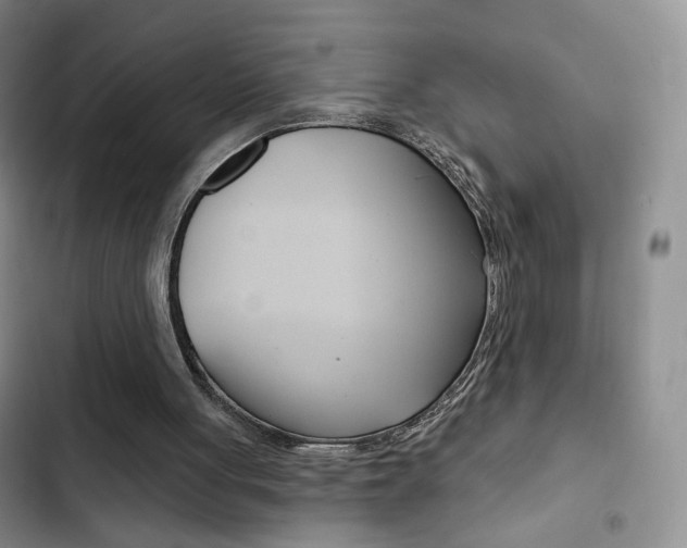 X0000102820051200808181035