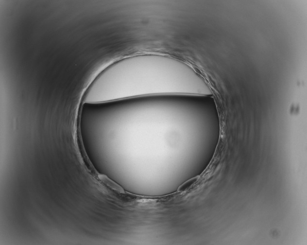 X0000102820052200808181035