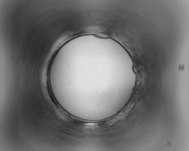 X0000102820053200808181035