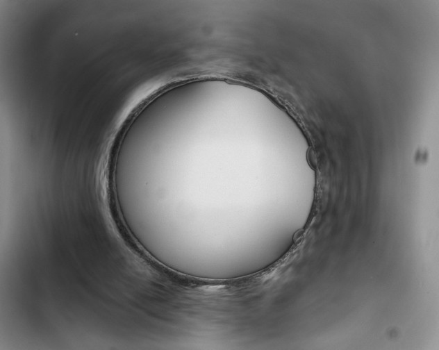X0000102820054200808181035