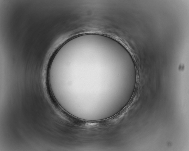 X0000102820055200808181035