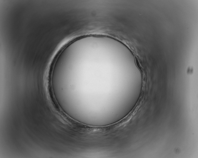X0000102820056200808181035