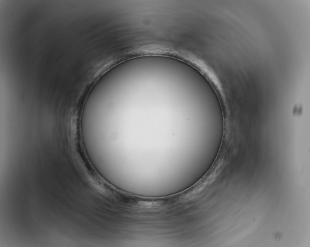 X0000102820057200808181035